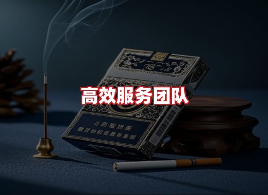 专业团队